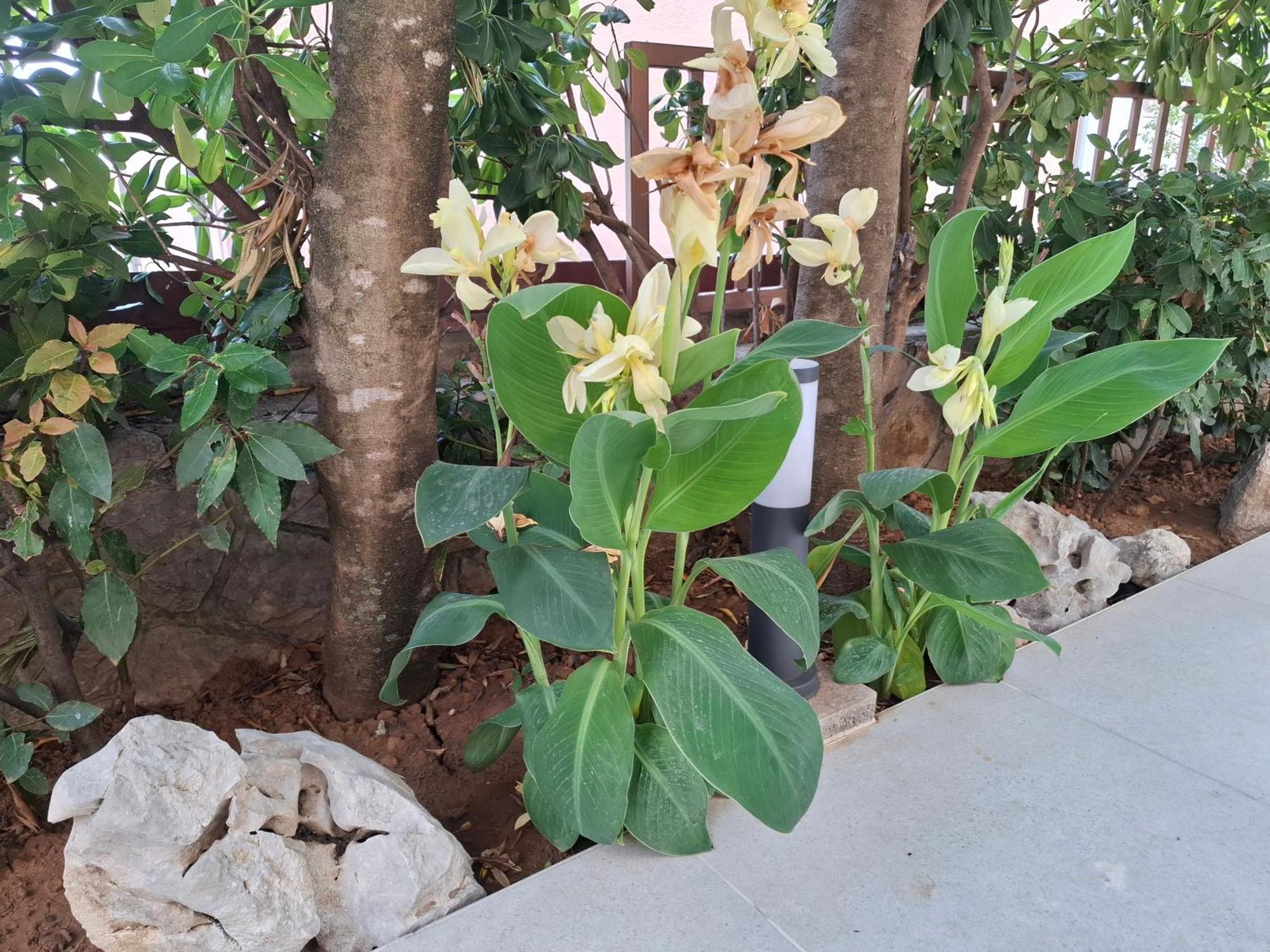 Apartments Nada Selce Ngoại thất bức ảnh